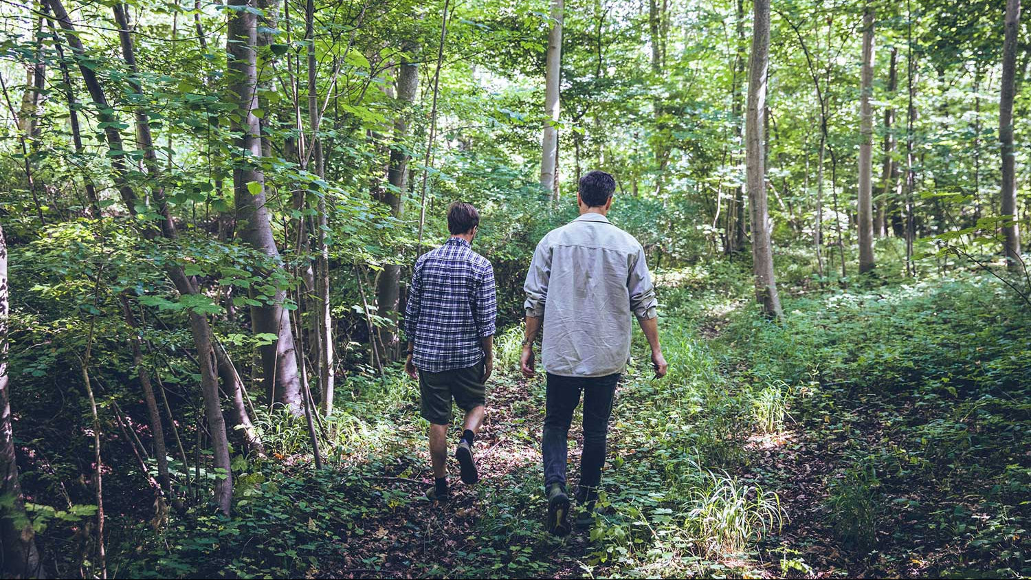 men walking in nature