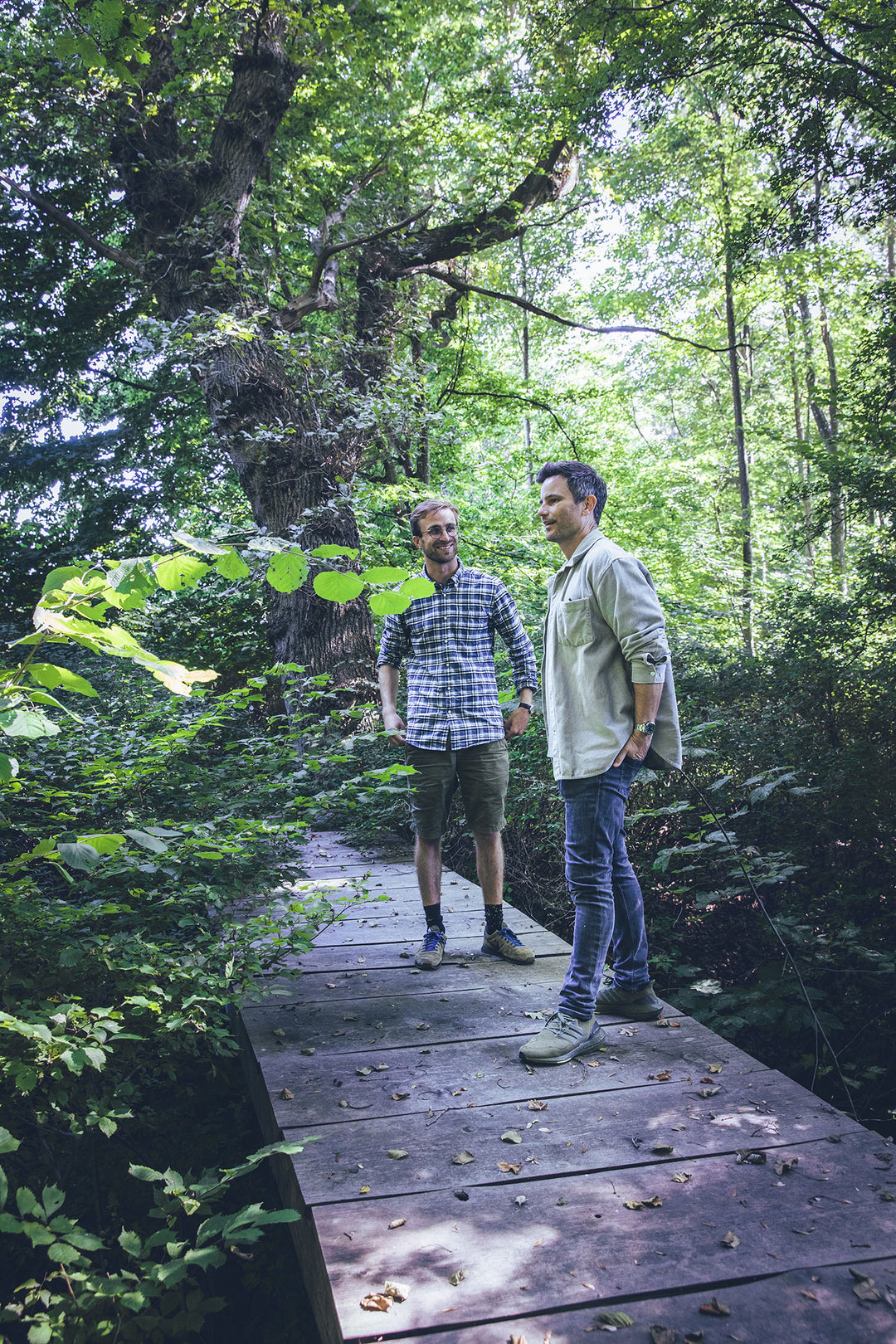 Two men standing on a wooden path in a forest